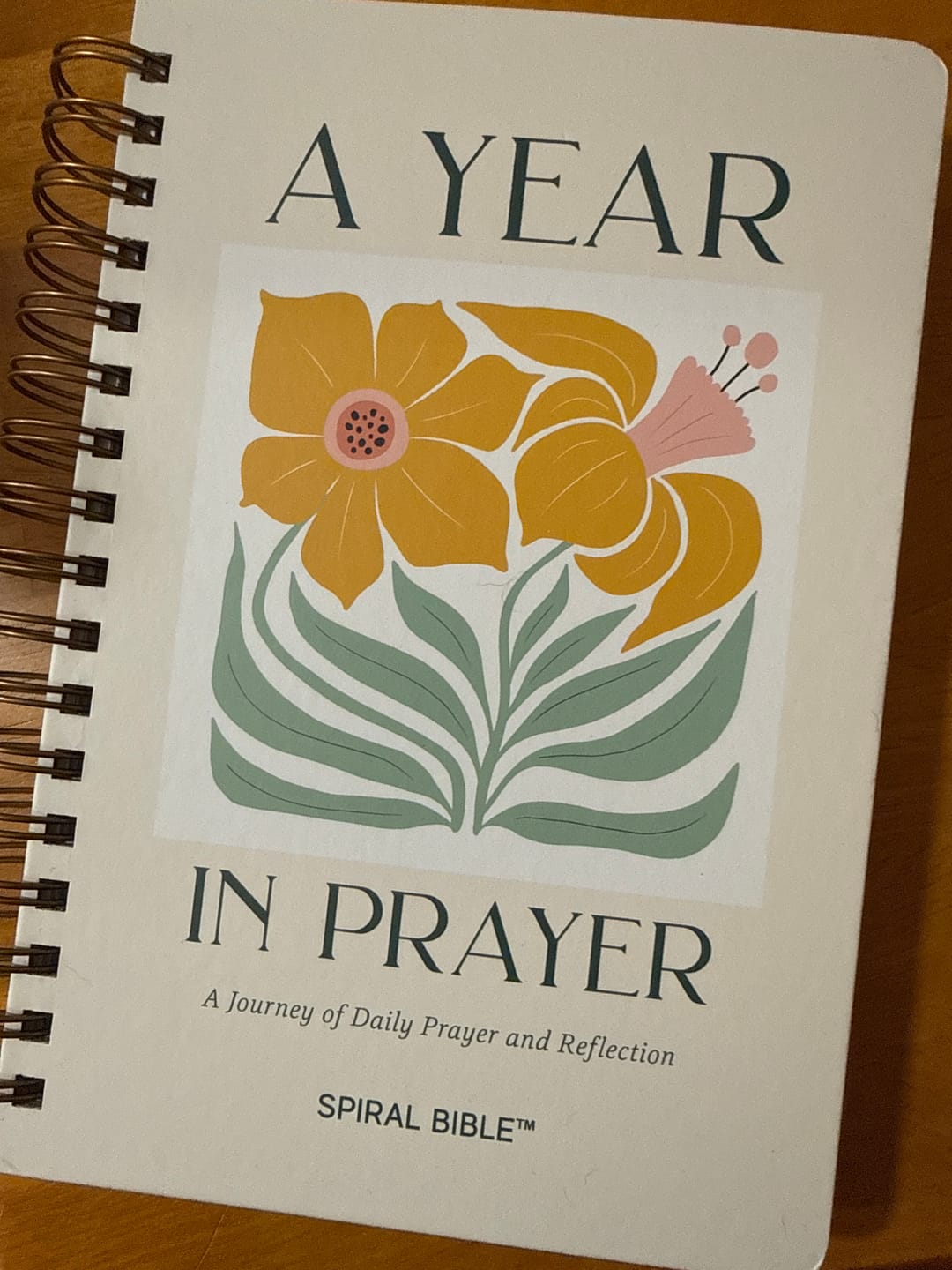 Customer photo review of A Year In Prayer: A Journey of Daily Prayer and Reflection