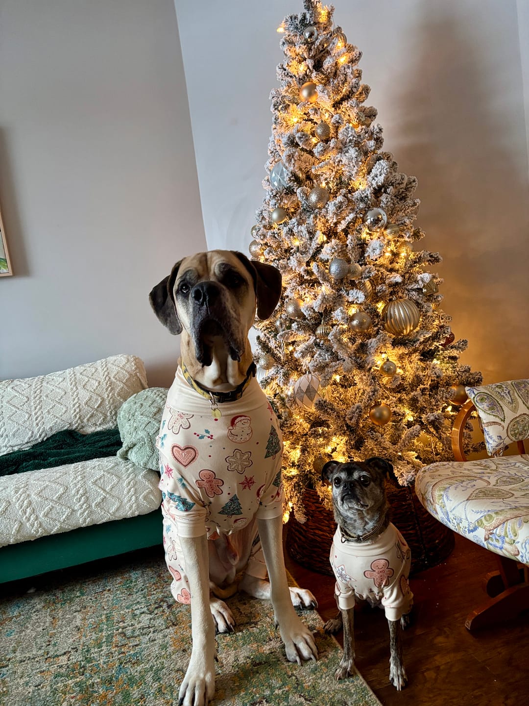 Customer photo review of Dog Christmas Pajama - Frosty Night