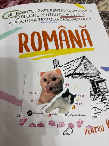 Recenzie cu fotografie de la un client despre Carte Română Bacalaureat Bacademia (temă și viziune, caracterizare, relație) - Ediția II