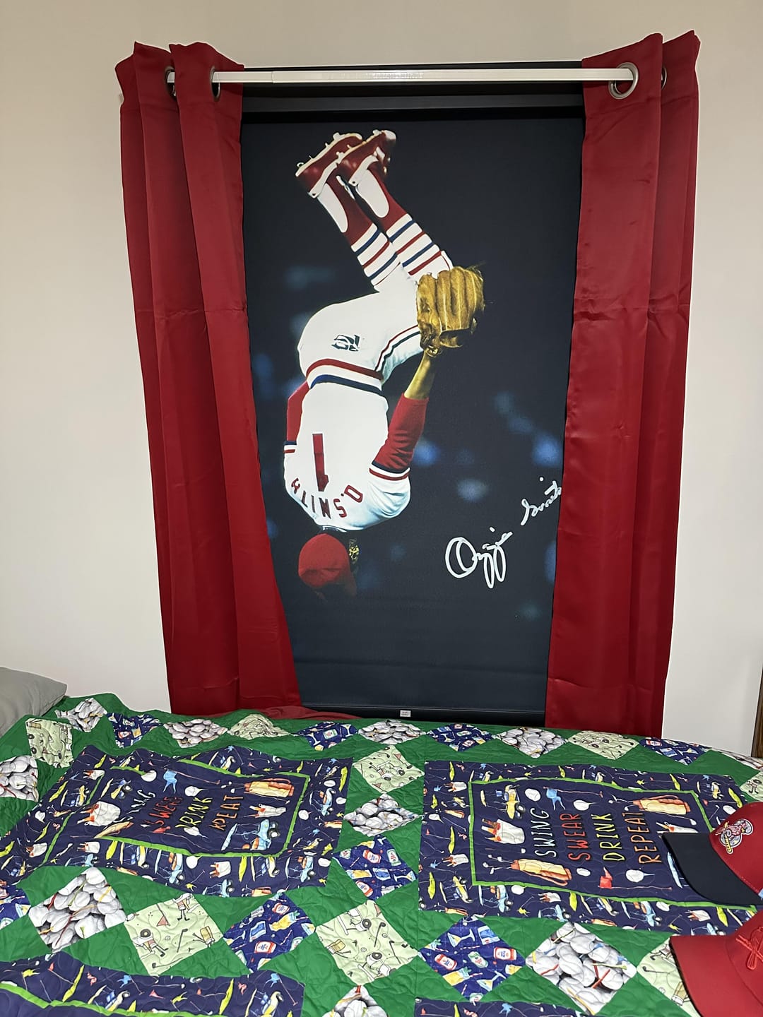 Customer photo review of Custom Printed Roller Shades