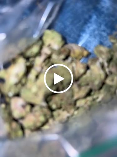 Customer video review of Greenhouse Smalls