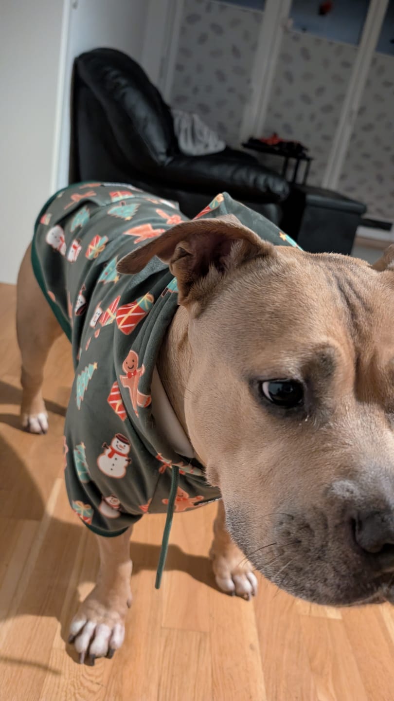 Customer photo review of Christmas Dog Hoodies