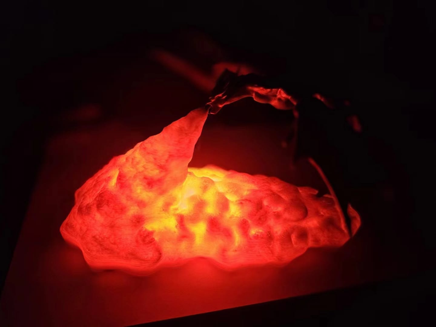 Customer photo review of 3D Printed Fire Breathing Dragon Accent Lamp