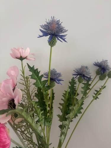 Customer photo review of Thistle Spray Blue