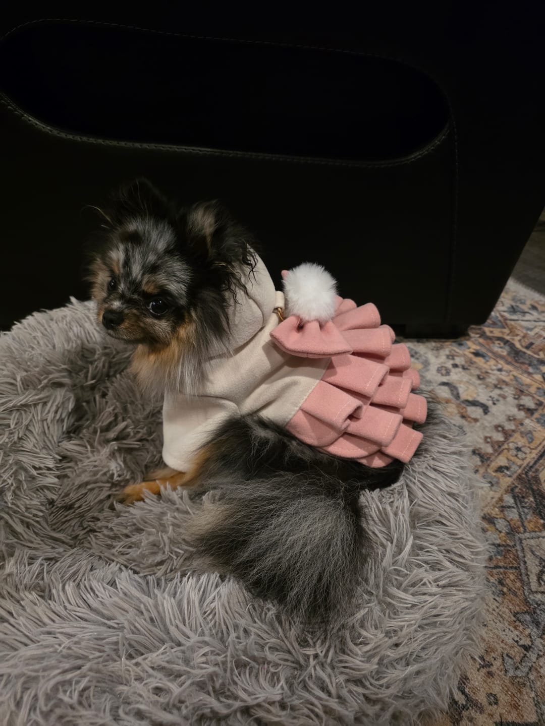 Customer photo review of Warm Fleece Bow Layered Dog Dress Jacket
