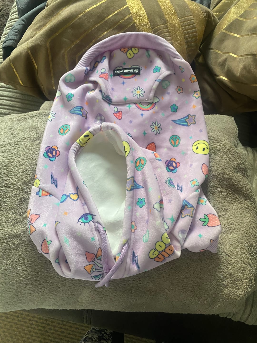 Customer photo review of Good Vibes Dog Hoodie - Purple