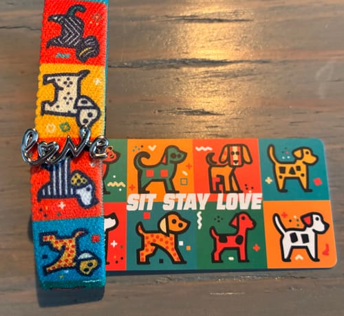 Reviewer's close-up of the colorful Sit Stay Love Bracelet with a silver 'love' charm next to its matching card on a wooden surface.
