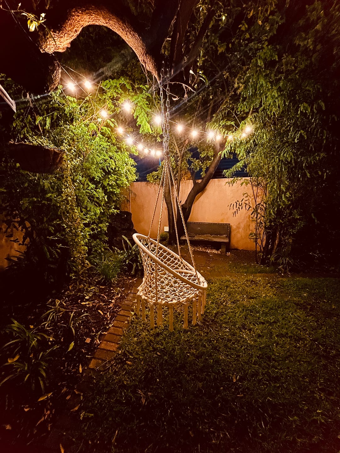 Customer photo review of Plug-In Mini Bulb String Lights