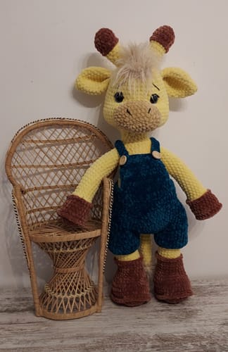 Customer photo review of HiMALAYA Dolphin Baby