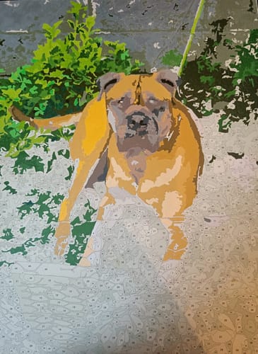 Customer photo review of Custom Pet Paint By Numbers