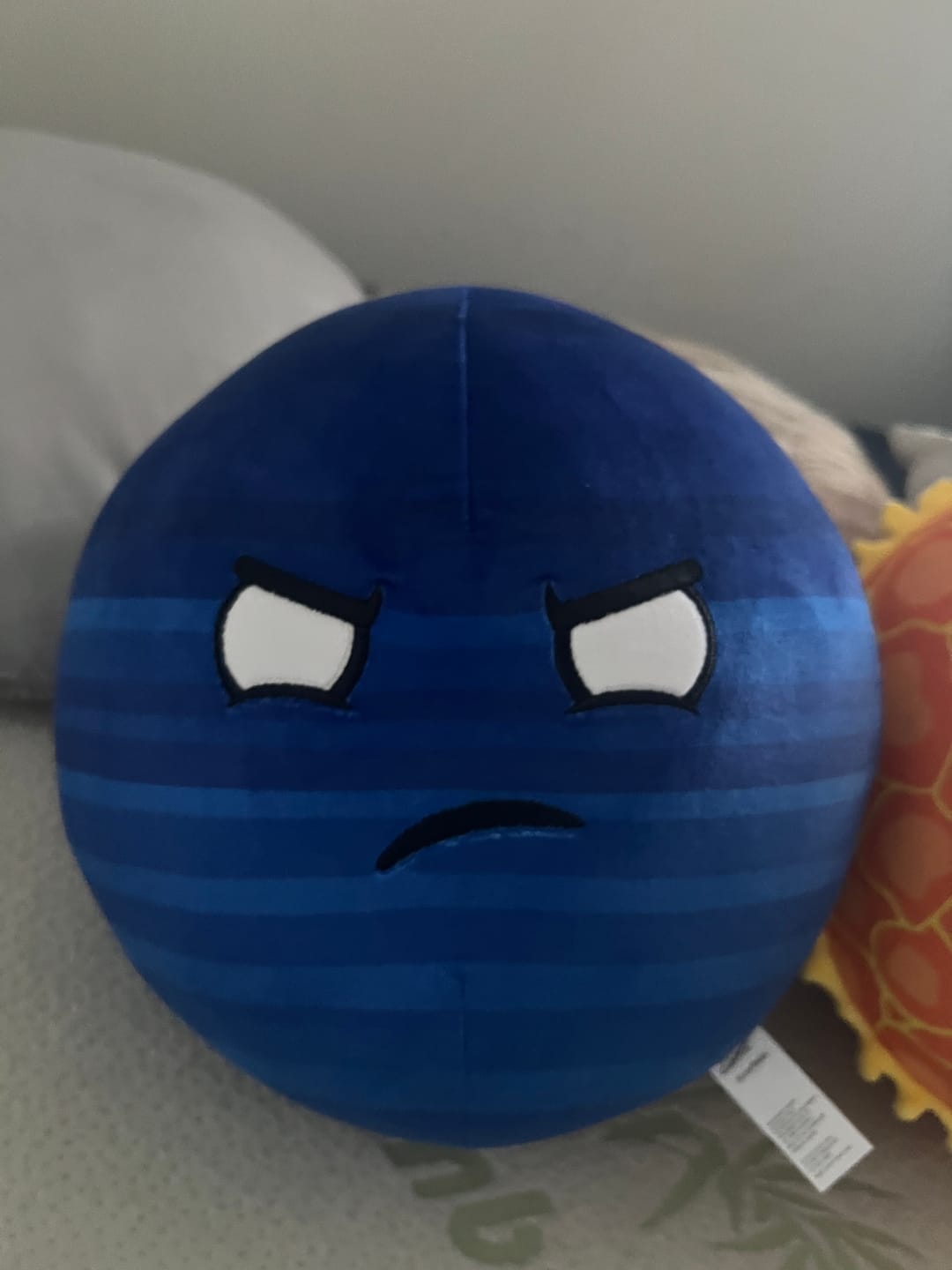 Customer photo review of The SolarBalls Planet X Plush