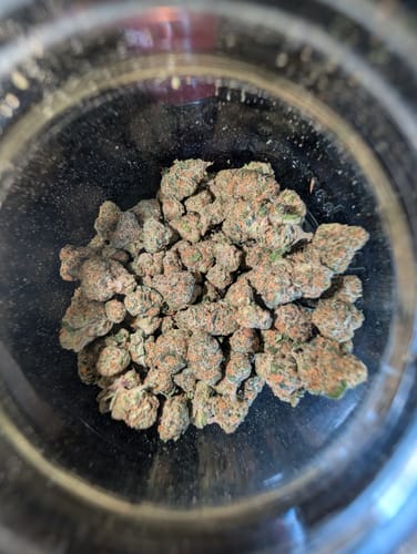 Customer photo review of Blue Punch Minis - Bulk Minis - Indica