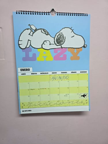Customer photo review of Mooving - Calendario 2026 Snoopy 40 x 30 cm