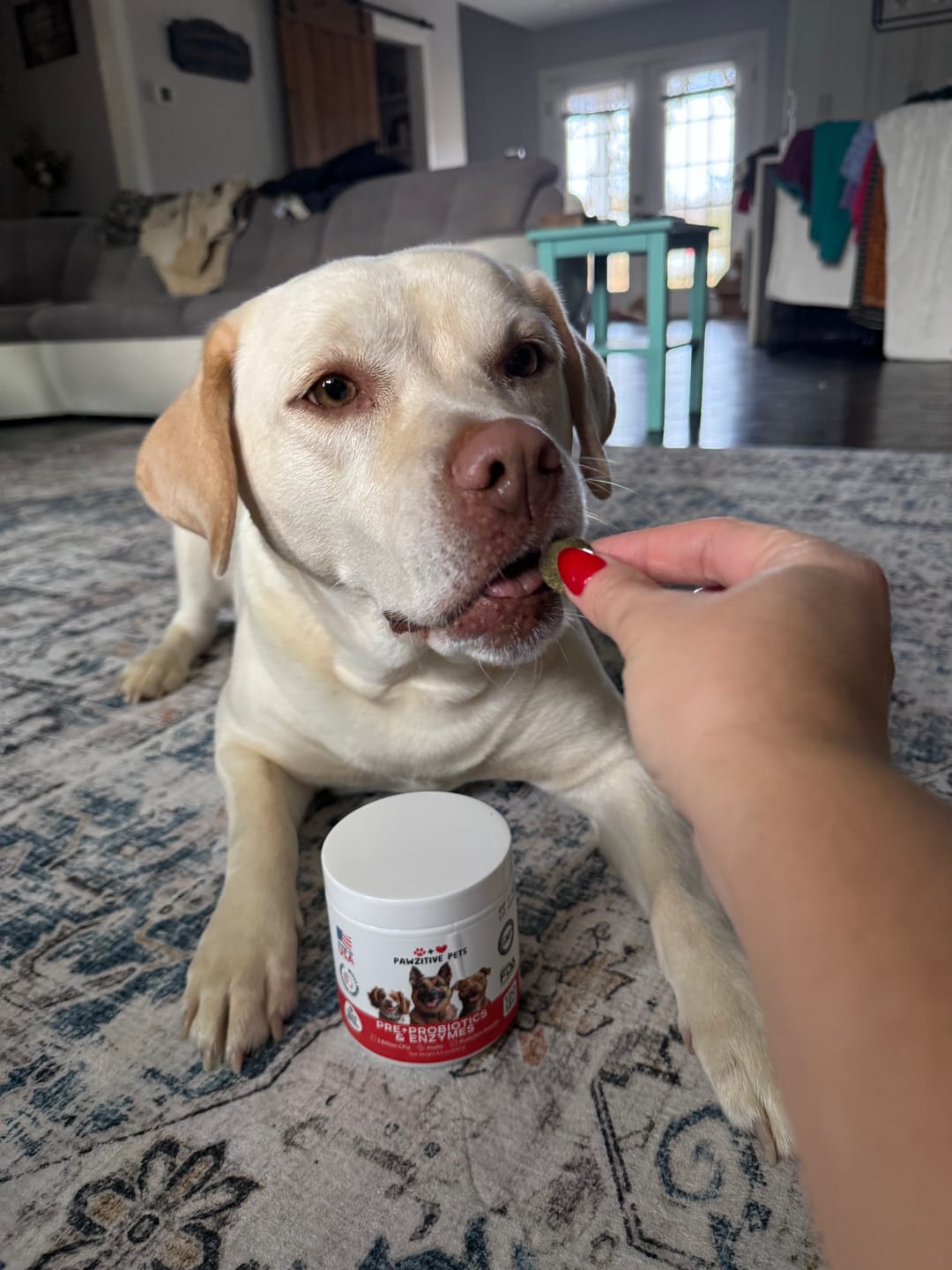 Customer photo review of Probiotics for Dogs Digestive Health – 120 Soft Chews