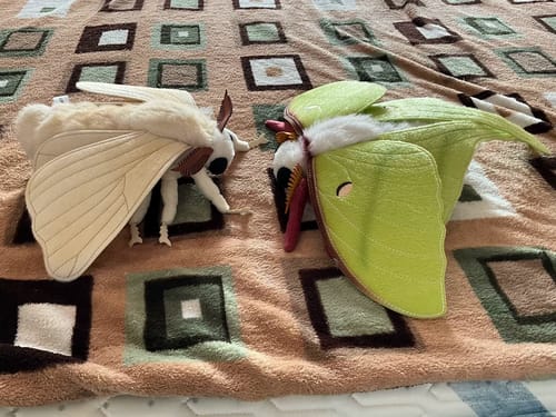 Customer photo review of Realistic Domestic Silk Moth Plush – Soft, Lifelike, and Perfect for Nature Lovers