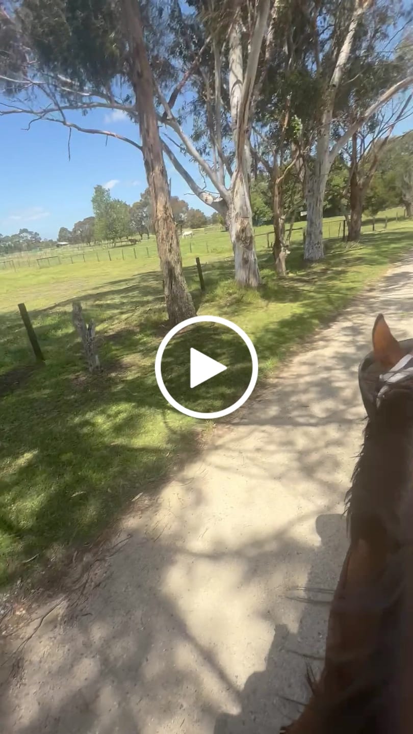 Customer video review of LE Outback Riding Flymask
