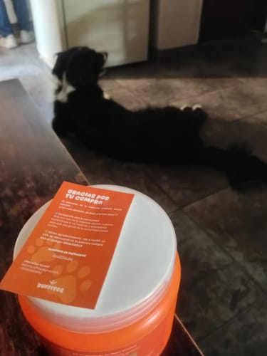 Customer photo review of Probioticos para perros | Fortalecé la salud de tu perrhijo desde adentro