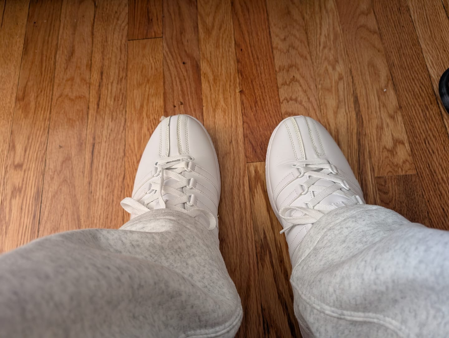 Customer photo review of 07321-151-XW | CLASSIC VN | WHITE/GUM