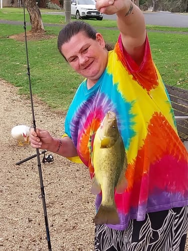 Customer photo review of Trellys Tackle Spectacular Ticket
