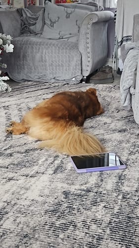 Customer photo review of The Mellow Mat® Designer Print | Grey Expressions (Soft Touch Sensory Tatami Rug)
