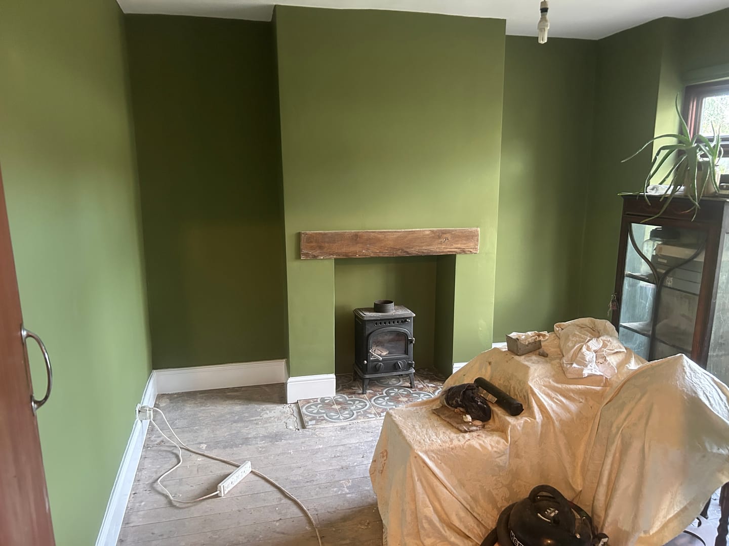Customer photo review of Sap Green (199)