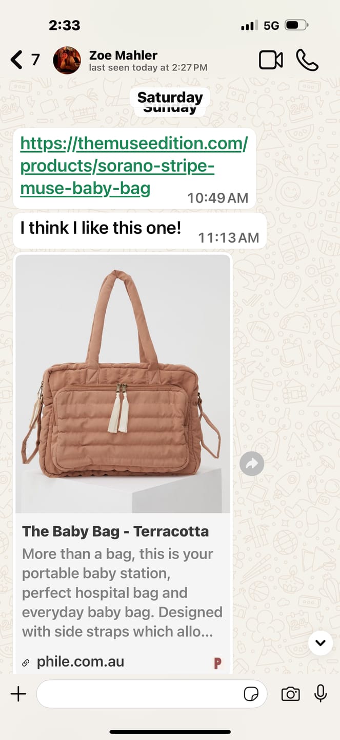 Customer photo review of The Baby Bag - Terracotta