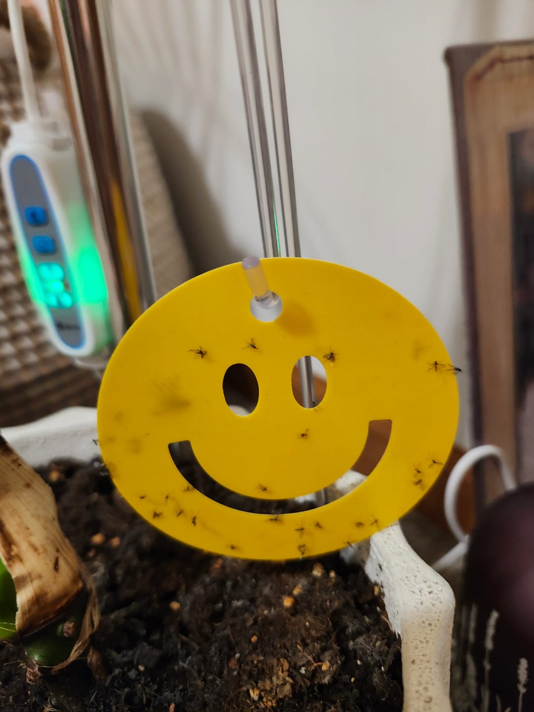 Customer photo review of Killer Smiles