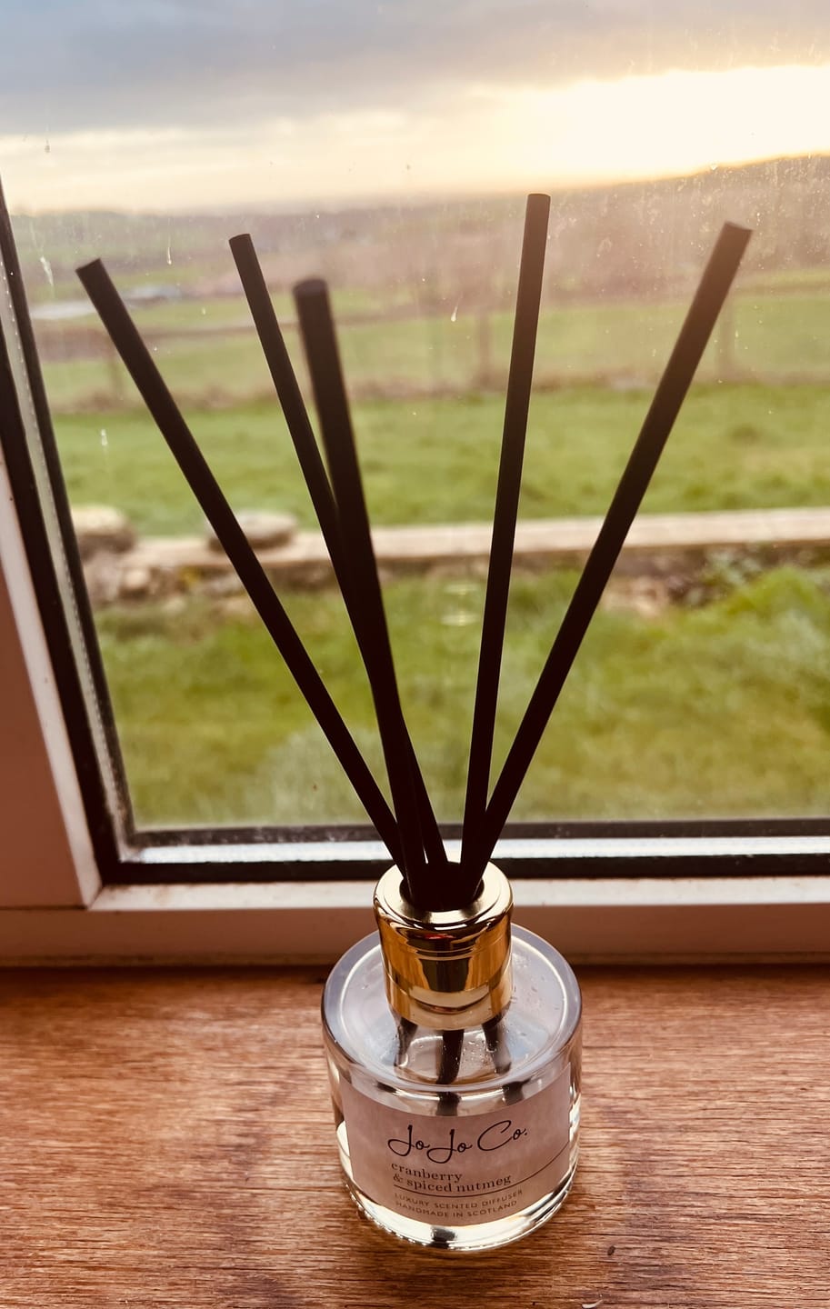 Customer photo review of Cranberry & Spiced Nutmeg Diffuser