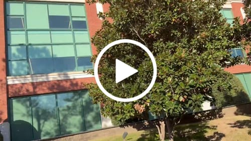 Customer video review of Woodland Jacket (9 Designs)