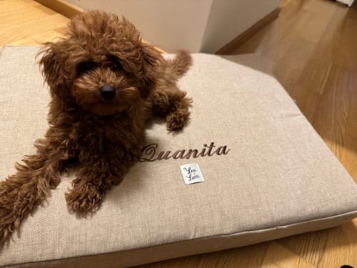 Customer photo review of Materassino Sfoderabile Mattias Soft Touch Beige