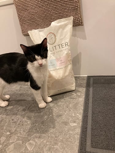 Customer photo review of 1 Month Supply – 2 Cat