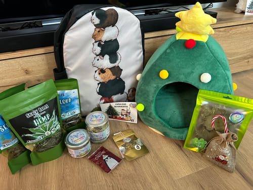 Customer photo review of 🎄 Oh Tannenbaumhaus – Das kuschelige Weihnachts-Versteck für deine Meerschweinchen