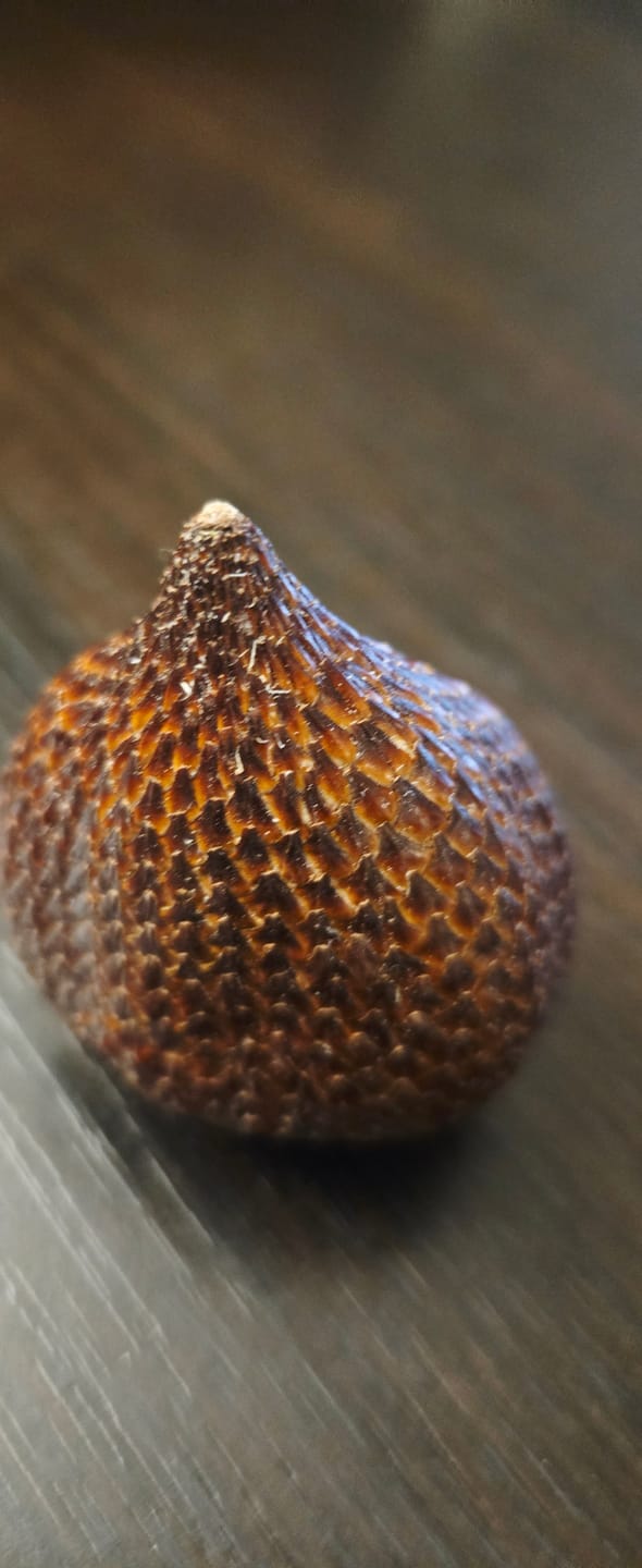 Customer photo review of Salak (Schlangenfrucht) naturbelassen