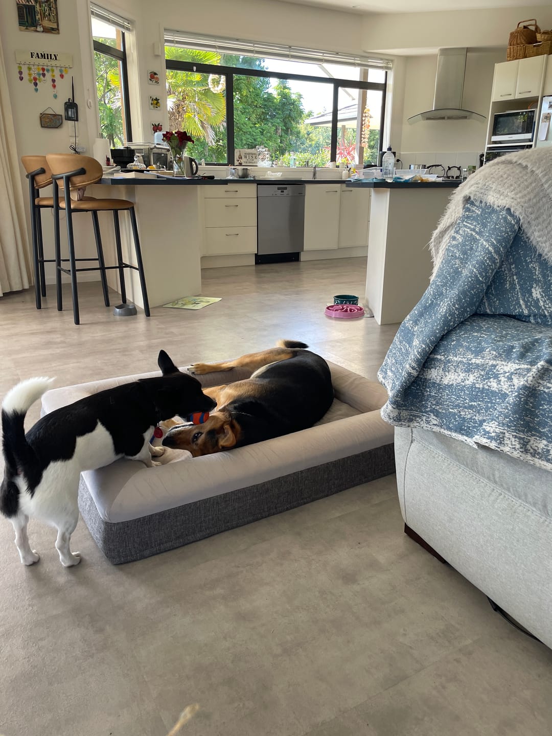 Customer photo review of Orthopaedic Memory Foam Bed
