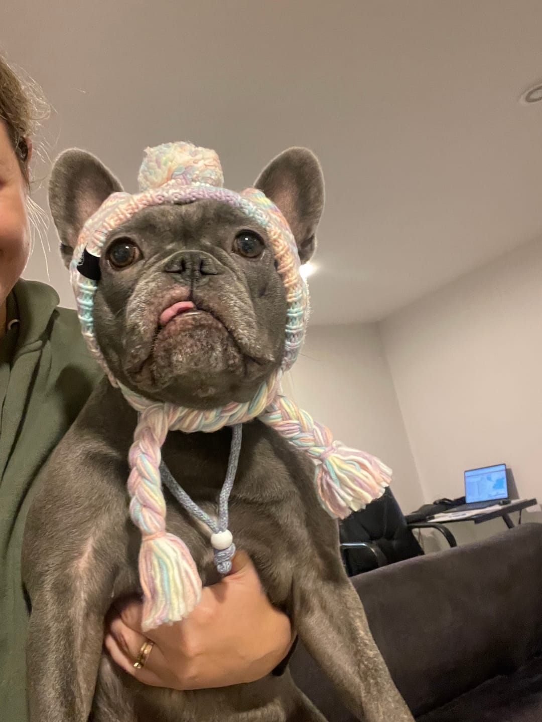 Customer photo review of Knit Pom Pom Dog Beanie Hat - Pastel Icing
