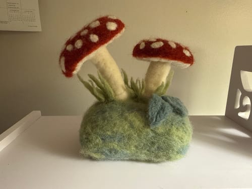 Customer photo review of Forest Toadstools Mini Needle Felting Kit