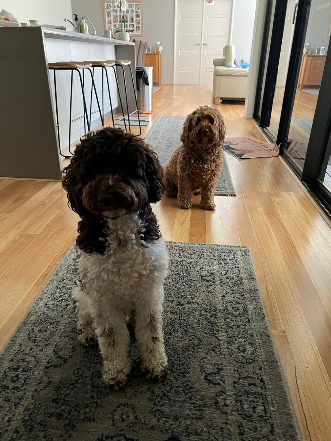 Customer photo review of Bugsy's Air-Dried Turkey