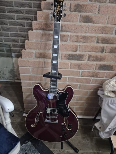 Customer photo review of Donner DJP-1000 Electric Jazz Guitar