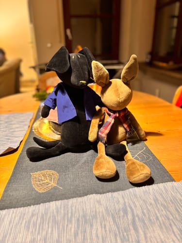 Customer photo review of LES VESTES - M/L