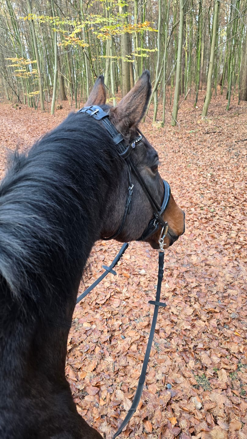 Customer photo review of Kristallkraft No1