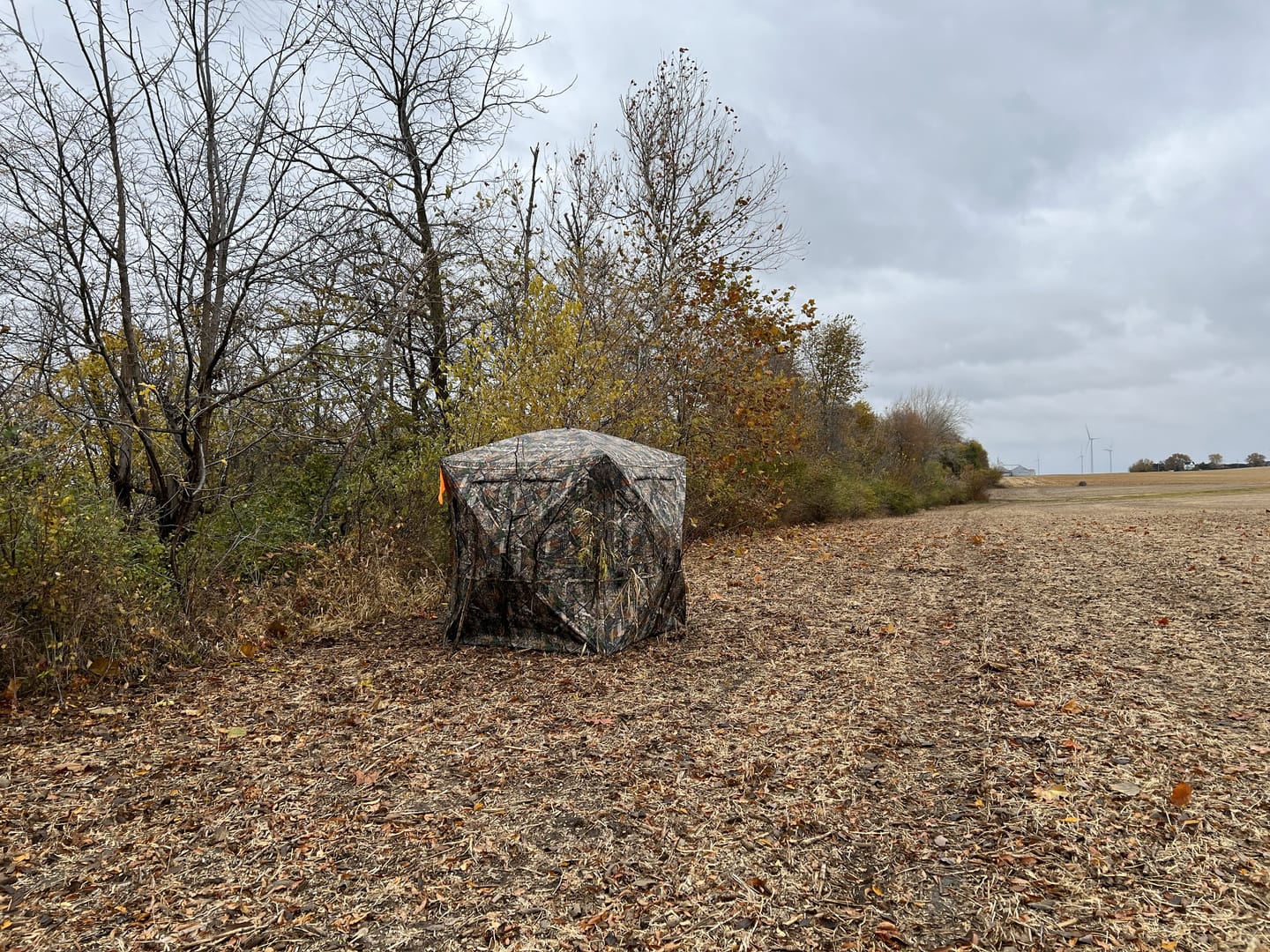 Customer photo review of Tidewe Vis360 See-Through Ground Blind for Deer/ Turkey Hunting (3-4 Person)