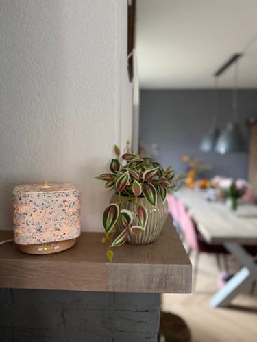 Recensent toont de verlichte Geurwolkje Aroma Diffuser op een houten plank naast een plantje.