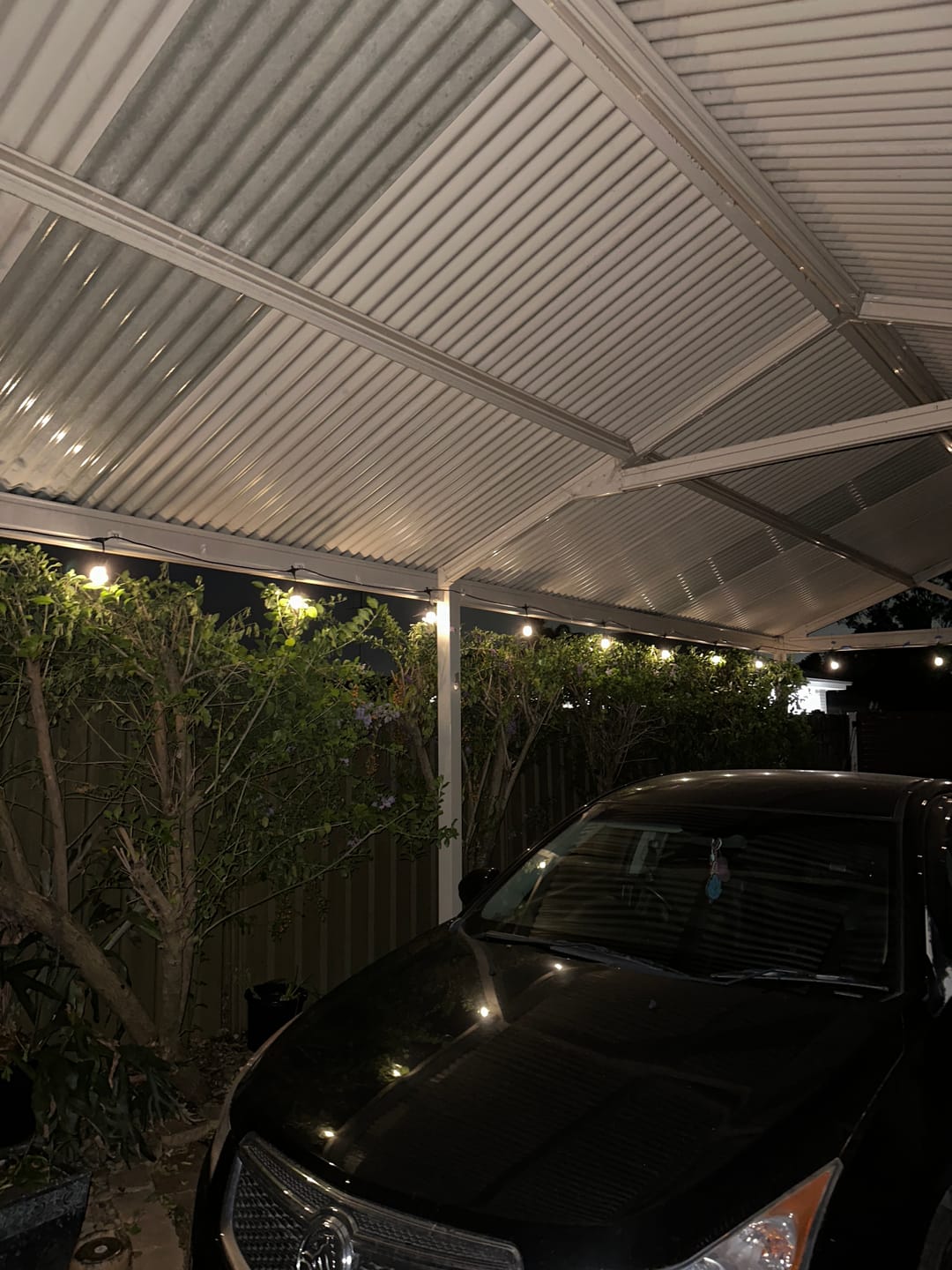 Customer photo review of SolaGarden™ Festoon Lights