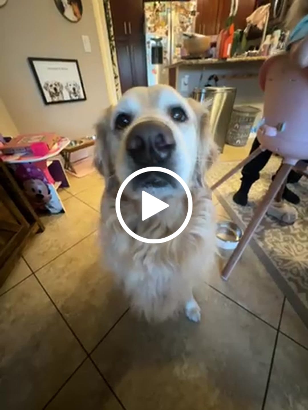 Customer video review of Golden Gravy