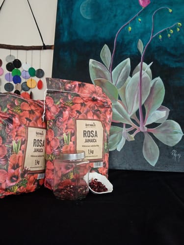 Cliente exhibiendo su pedido de Rosa Jamaica con dos bolsas, un frasco y una muestra de las flores secas.
