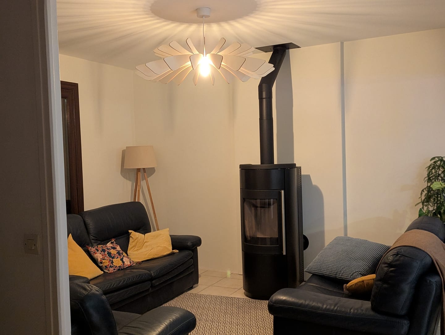 Customer photo review of Aurora | Suspension