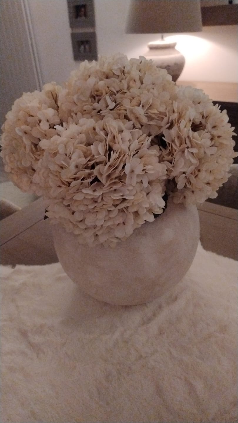 Customer photo review of Grote Zijden Hortensia - Crème