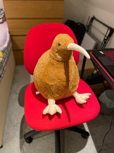 Customer photo review of Kiwi Soft Stuffed Plush Toy