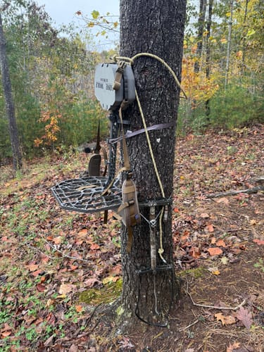 Customer photo review of RANGER HYBRID™