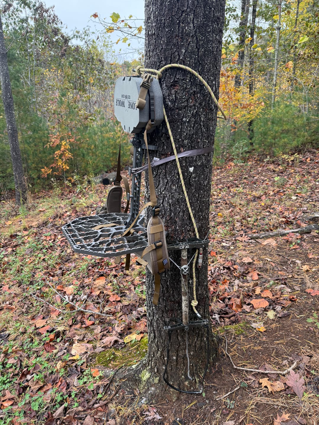 Customer photo review of RANGER HYBRID™